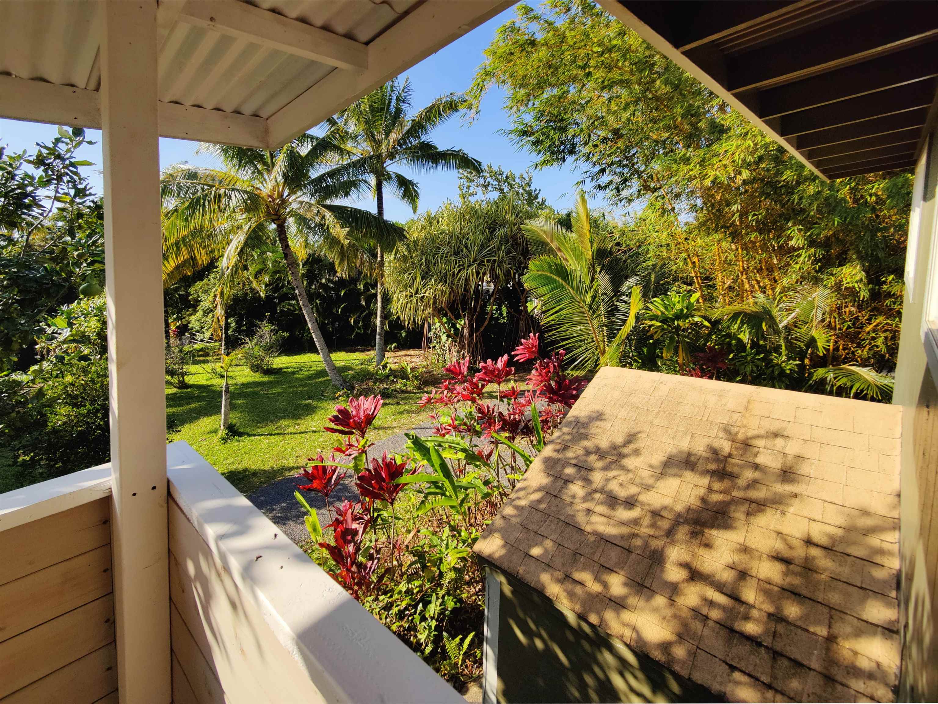 142 Peahi Road Haiku, HI 96708 - Photo 9 of 21 a view of a yard with plants