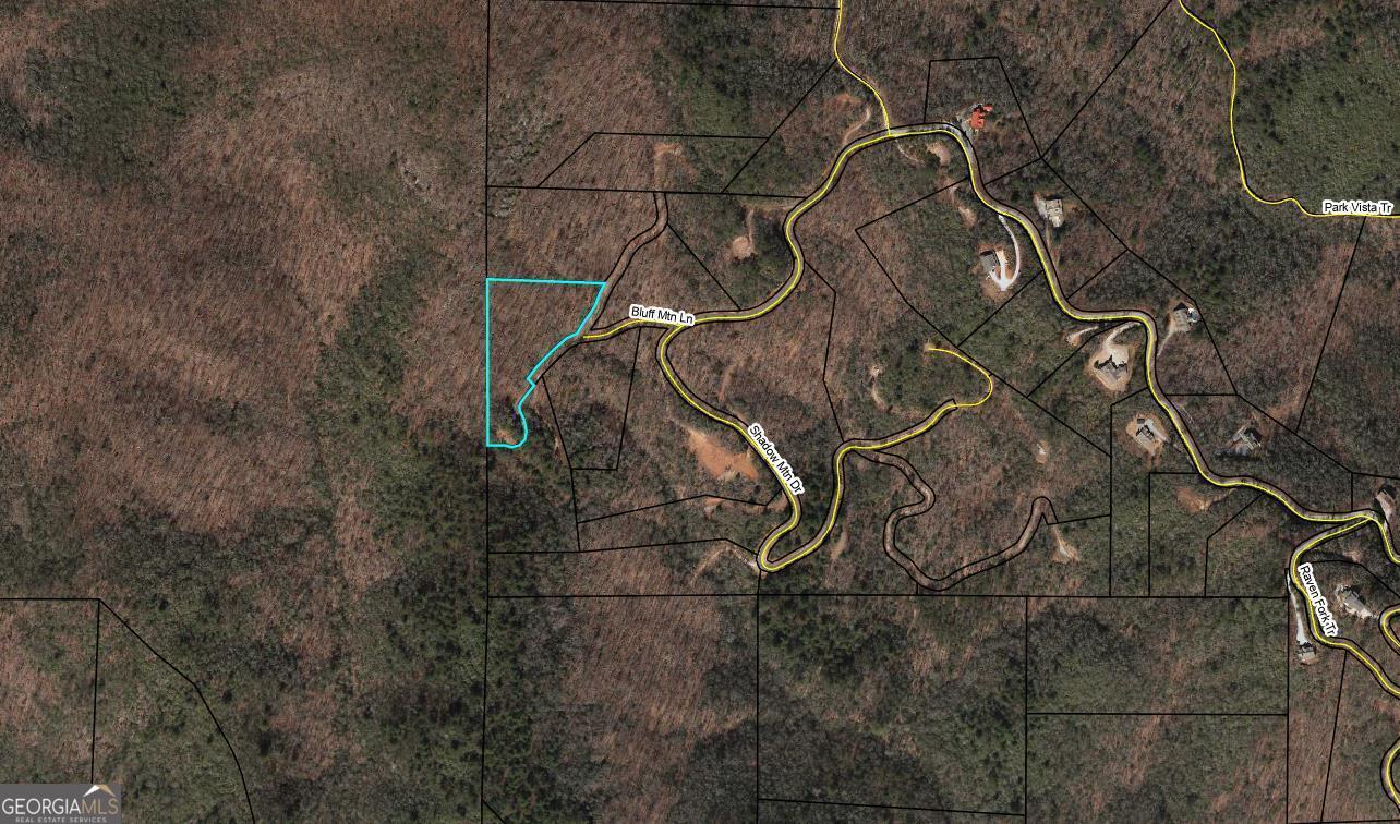 0 Bluff Mountain Dillard, GA 30537 - Photo 3 of 3