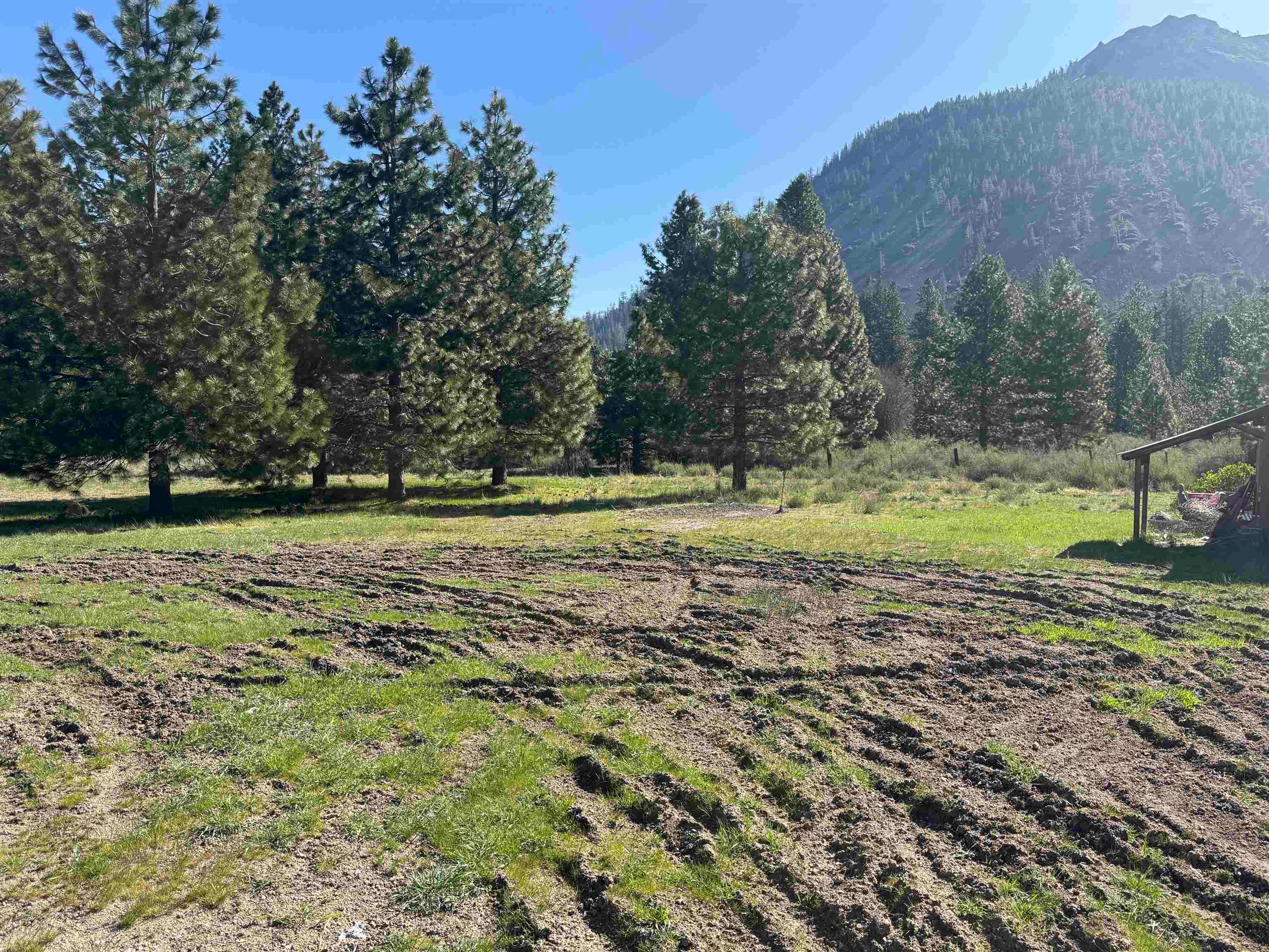 5404 North Old Stage Road Mount Shasta, CA 96067 - Photo 17 of 19 Gallery Image 17