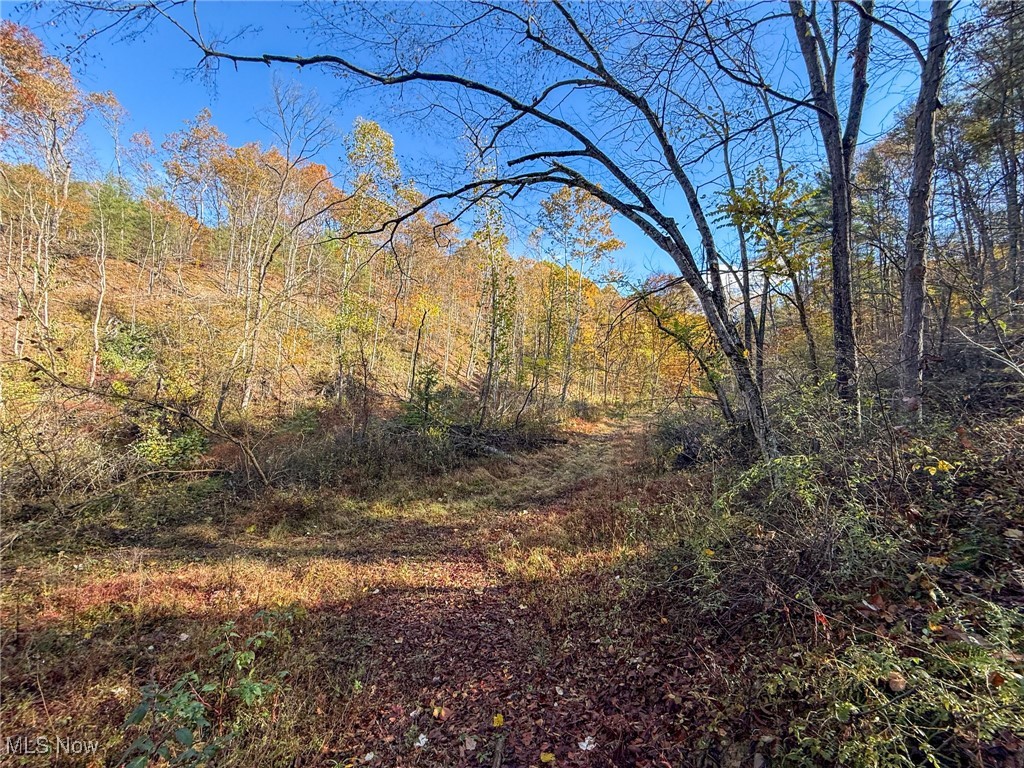 Schmeltzer Road Bremen, OH 43107 - Photo 22 of 37 View of wooded area