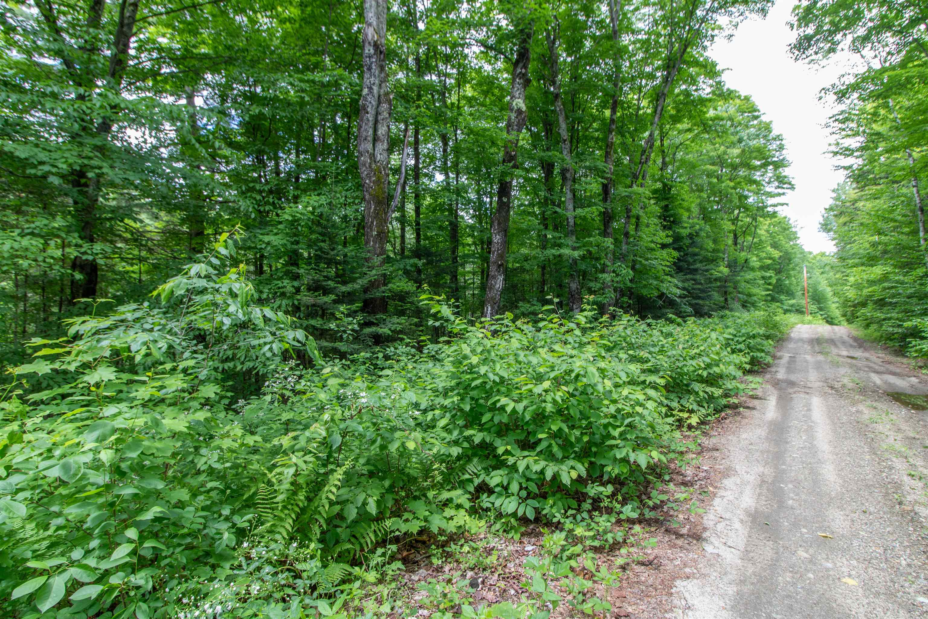 905 Gideons Mill Road Brighton, VT 05846 - Photo 19 of 24