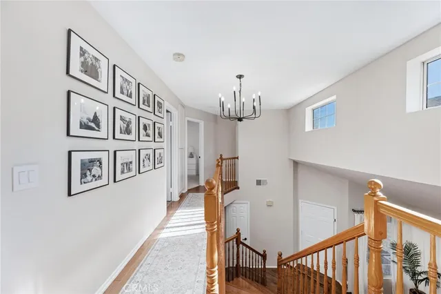 a view of a park with large trees