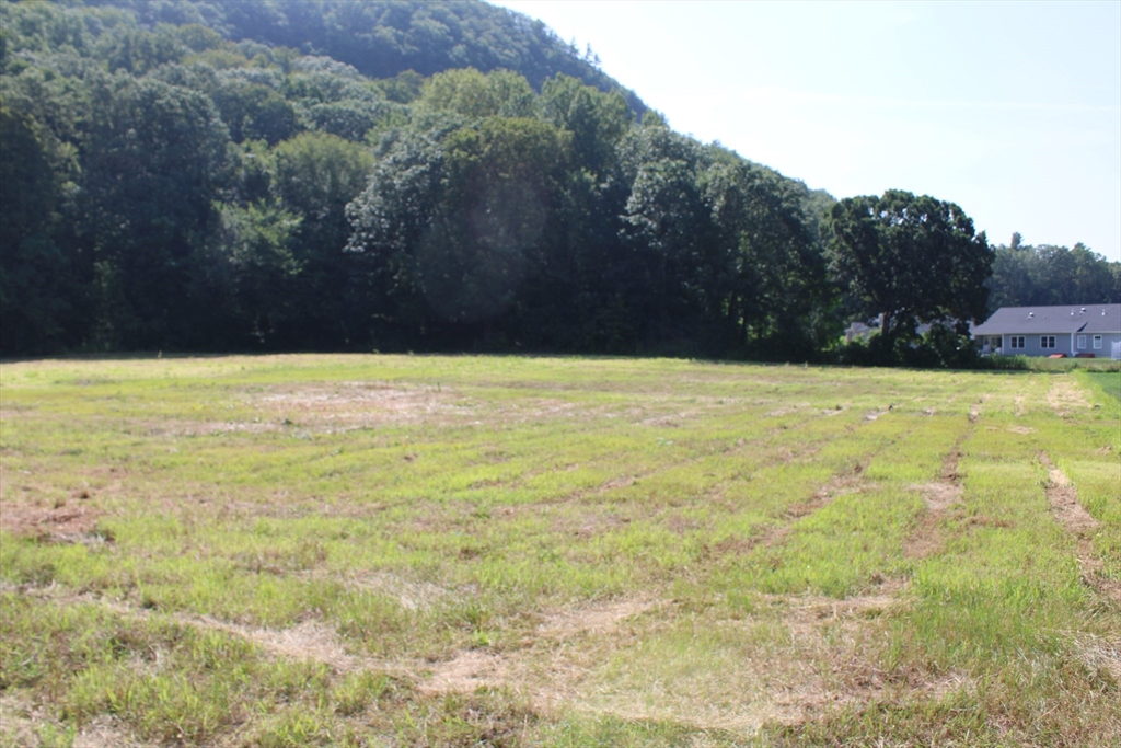 Lot D Mountain Road South Deerfield, MA 01373 - Photo 2 of 8 a view of a yard with an tree