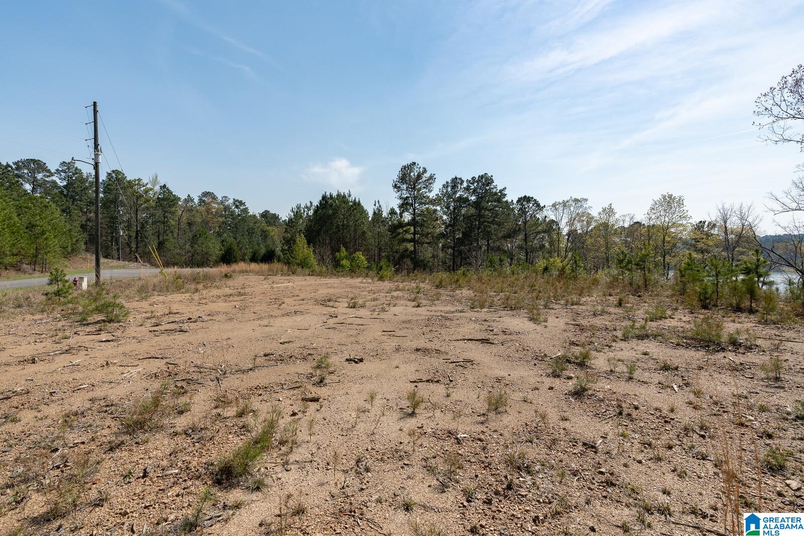 Stillwaters Trail, Unit 180 Sylacauga, AL 35151 - Photo 7 of 30