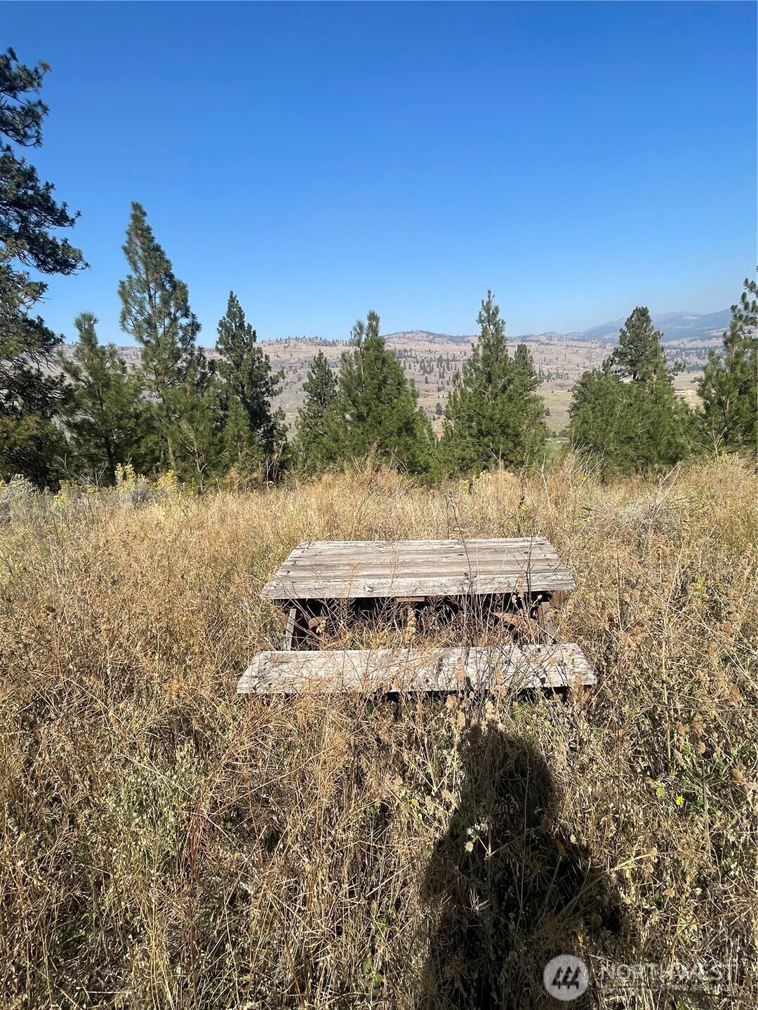 -tbd Reevas Basin Road Tonasket, WA 98855 - Photo 16 of 38