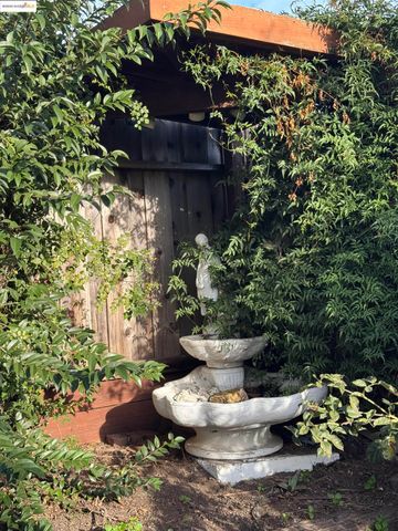 a view of a bunch of flowers