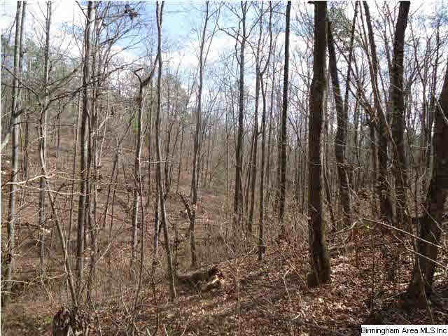 Loop Road Steele, AL 35987 - Photo 11 of 17