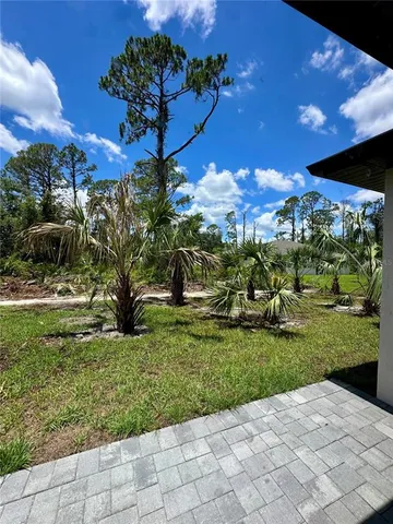 a view of a yard with plants and a fountain