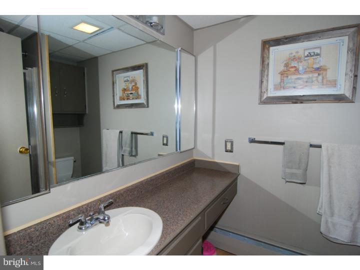 3205 Mannerchor Road Temple, PA 19560 - Photo 11 of 15 Master Bathroom