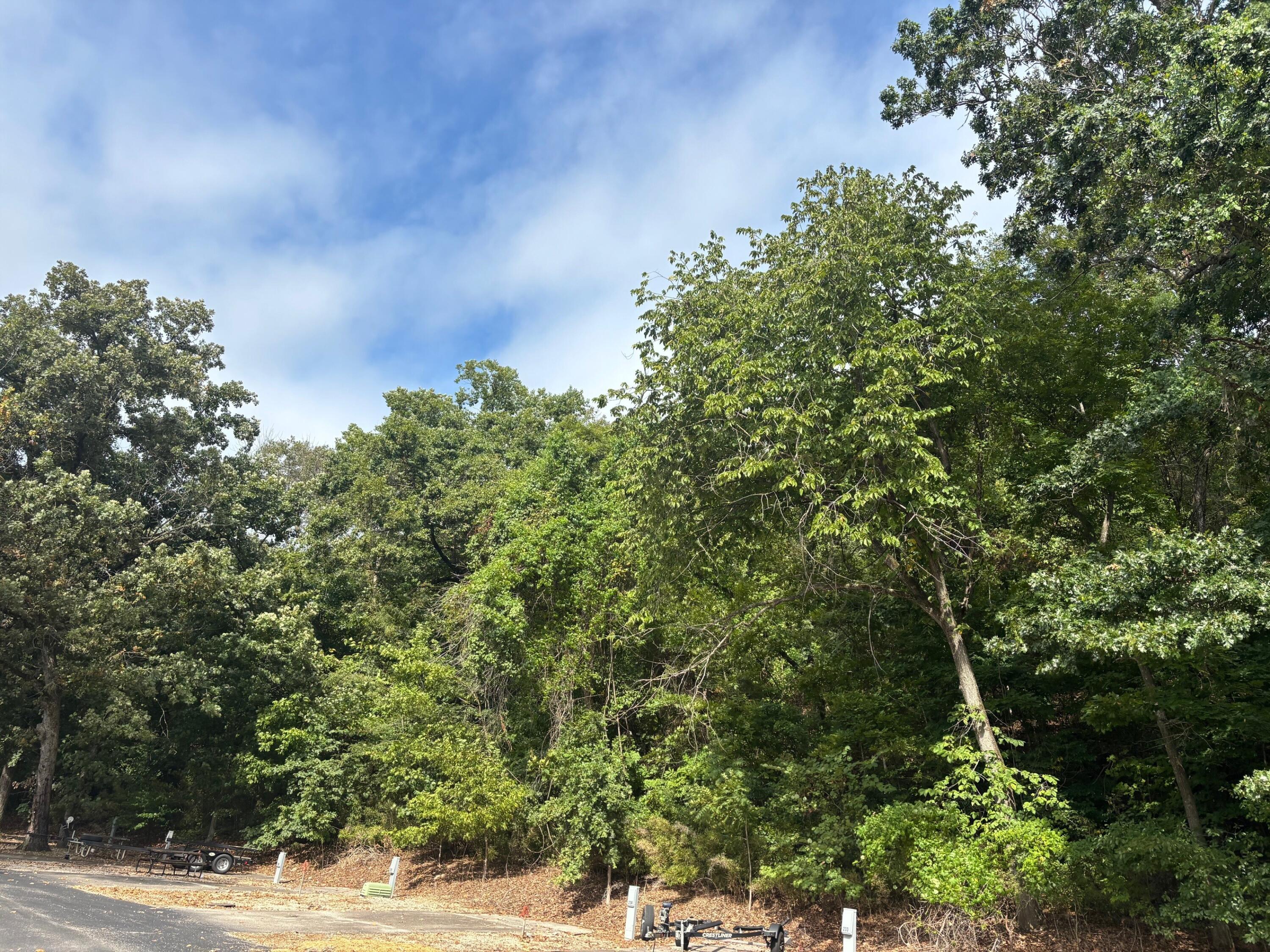 0 Fall Creek Road Branson, MO 65616 - Photo 2 of 3 2