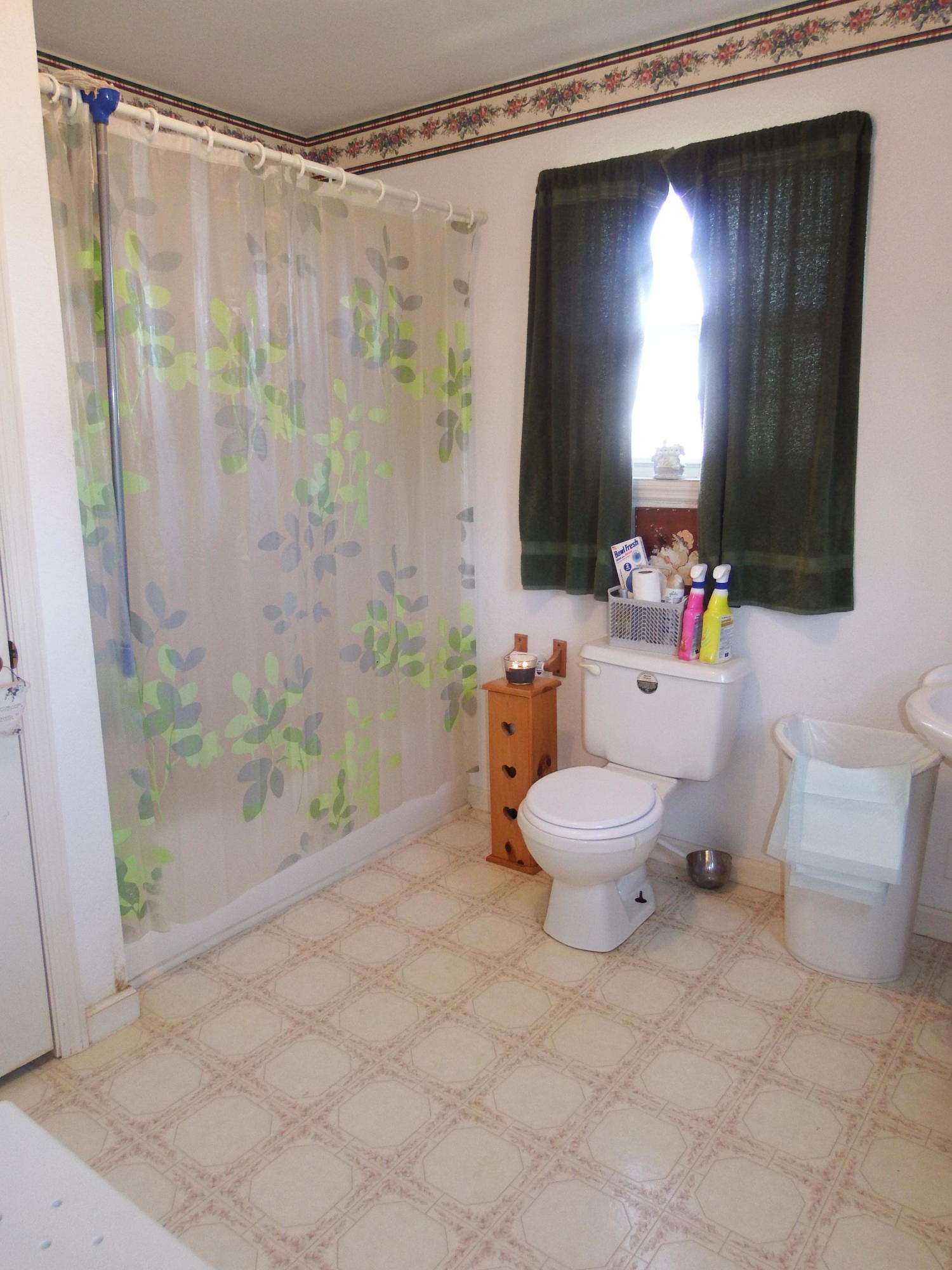 195 Reece Road Pikeville, TN 37367 - Photo 18 of 37 DSCF0025