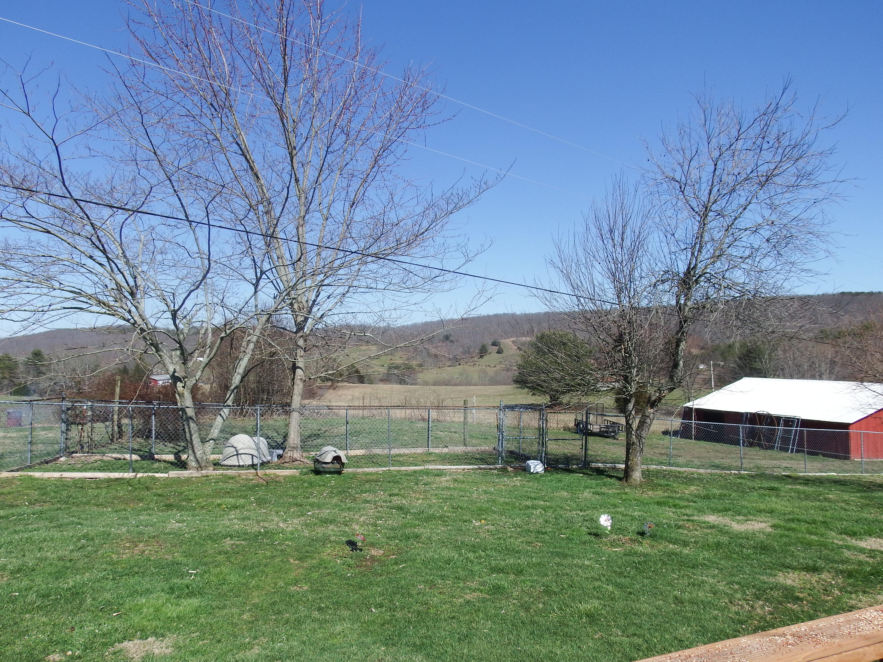 195 Reece Road Pikeville, TN 37367 - Photo 26 of 37 DSCF0043