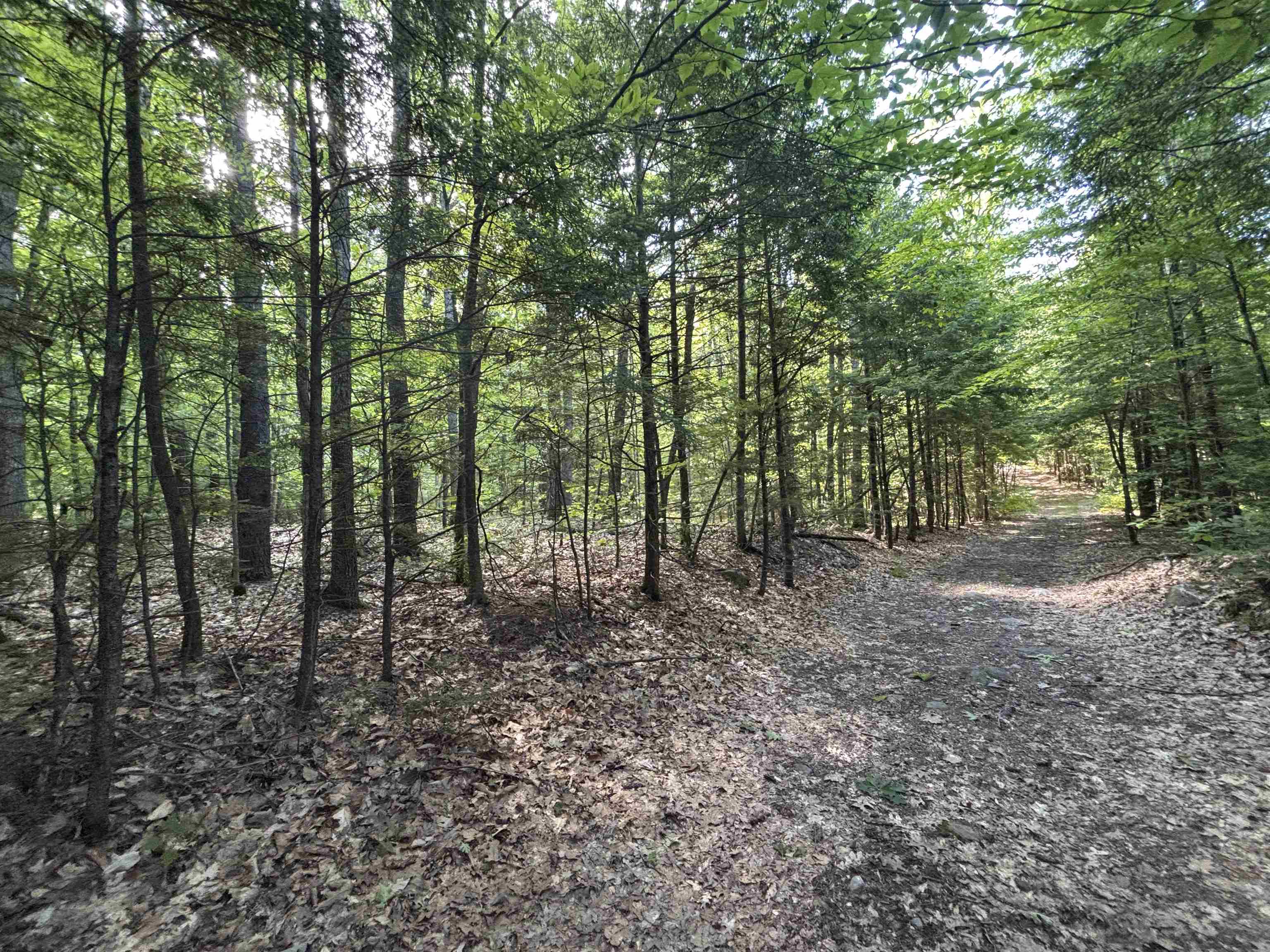 0 Windfall Road Northfield, NH 03276 - Photo 5 of 10