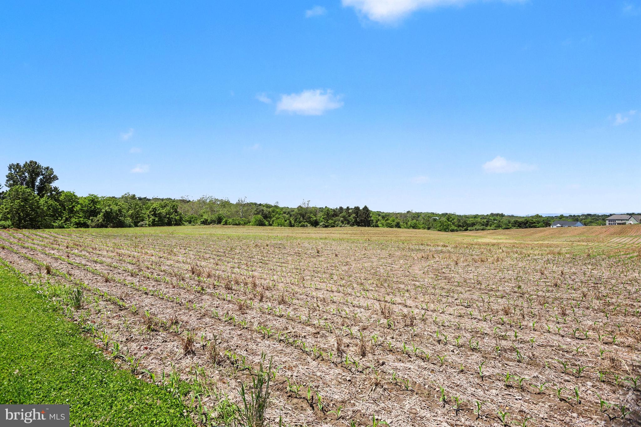 0 Big Oak Road Dillsburg, PA 17019 - Photo 5 of 18 a view of lake with green space