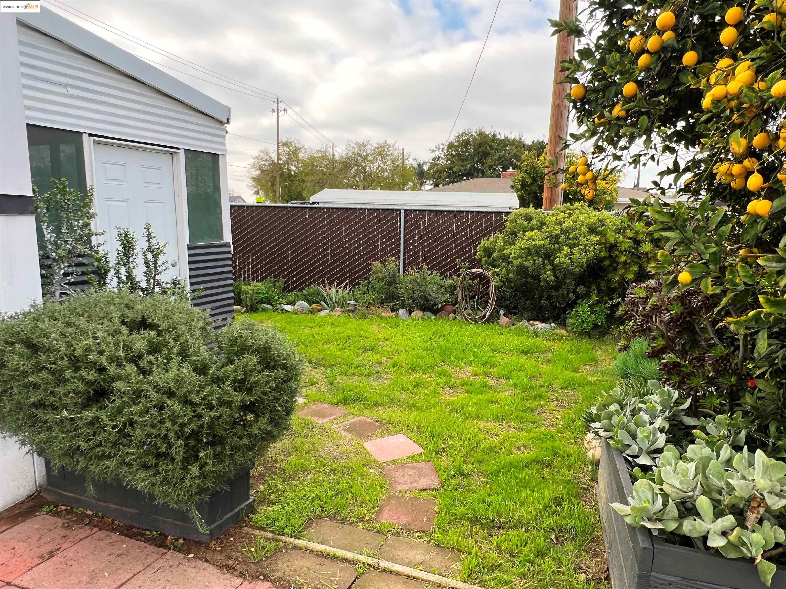210 West Cypress Road, Unit 1 Oakley, CA 94561 - Photo 13 of 16 a view of a backyard with plants