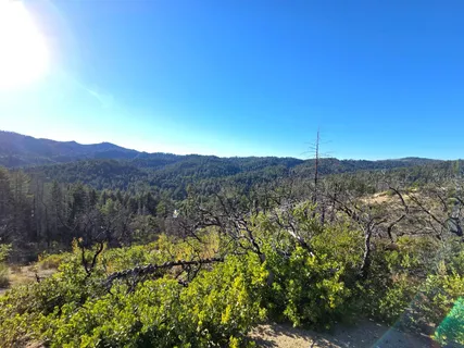 a view of a lush green field with mountains in the background