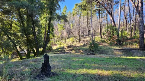 a backyard of a house with lots of green space
