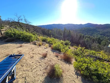 a view of a park with large trees