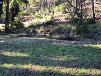 a view of outdoor space with trees all around