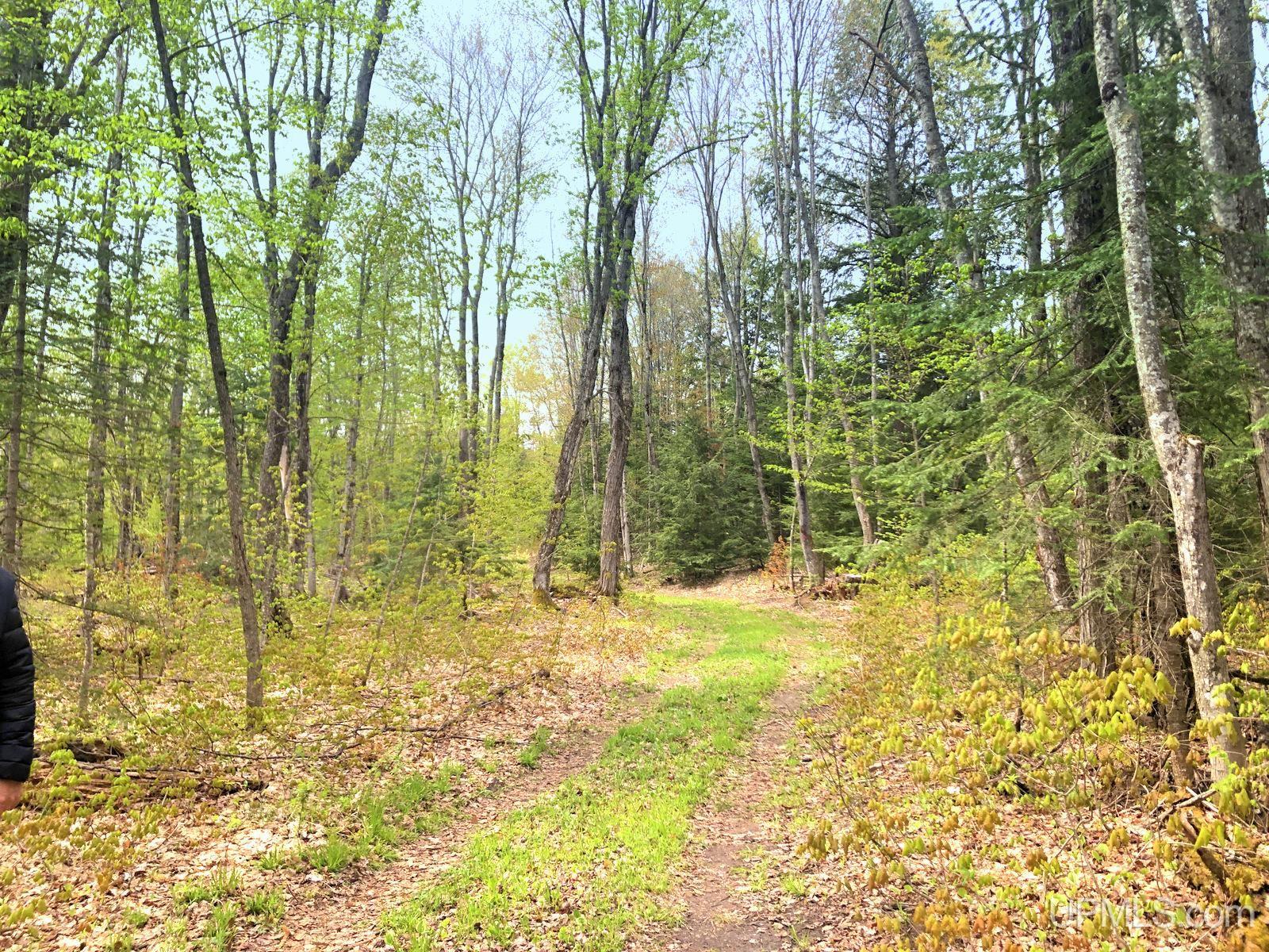 Tbd Tbd Northwestern/camp Road Ishpeming, MI 49849 - Photo 16 of 63