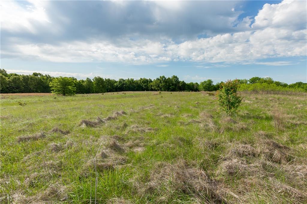0 Southwest 700th Road Holden, MO 64040 - Photo 59 of 66