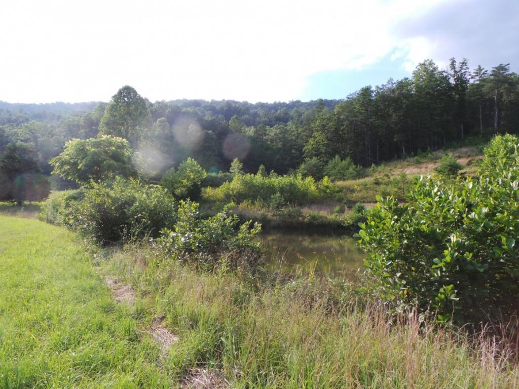 0 High Rock Road Rogersville, TN 37857 - Photo 17 of 20 Photo 17