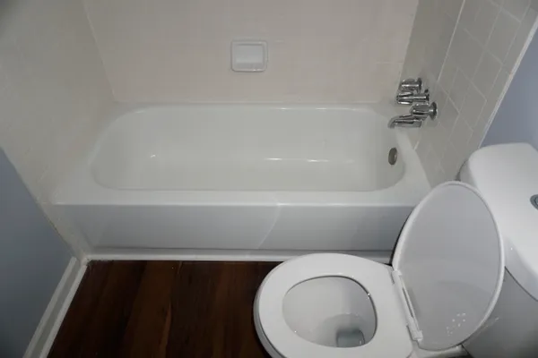 a bathroom with a toilet and a bathtub