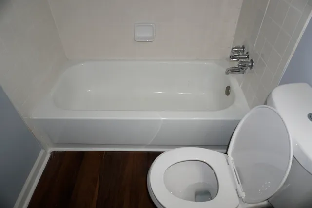 a bathroom with a toilet and a bathtub