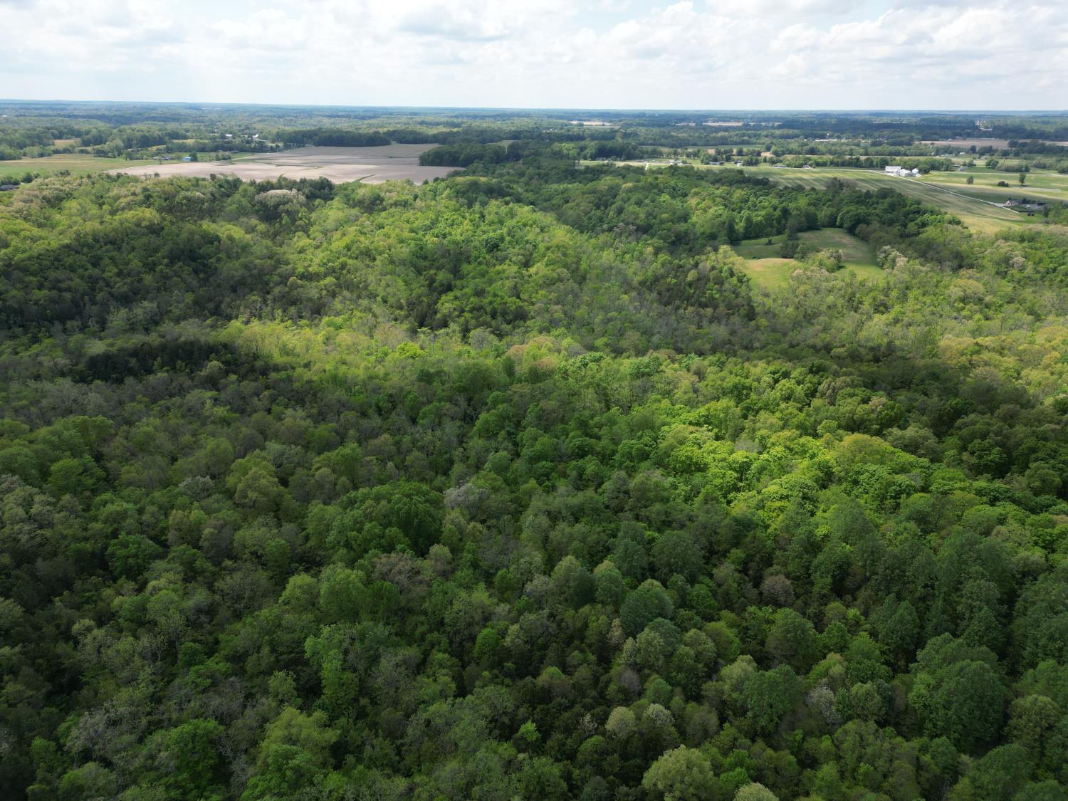 0 Chesterville Road Moores Hill, IN 47032 - Photo 14 of 31