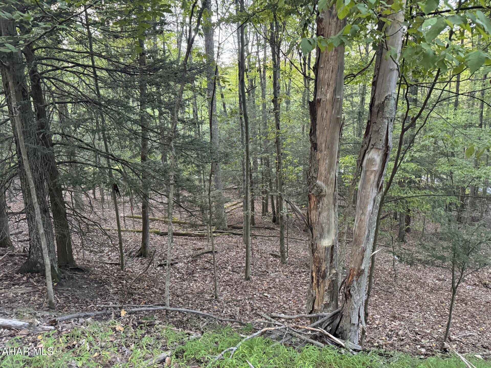 250-258 Red Oak Road Flinton, PA 16640 - Photo 3 of 6