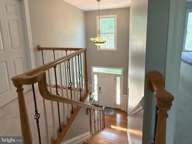 a view of entryway with wooden floor and windows