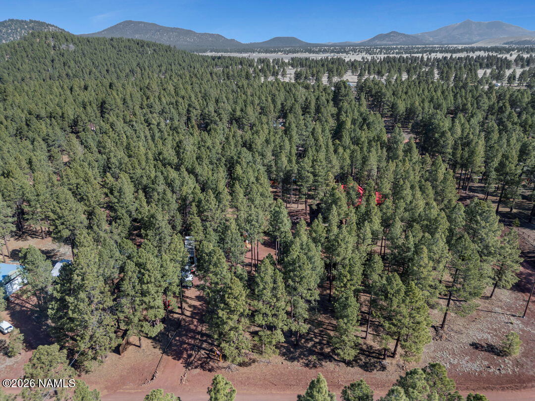 13167 Fallow Deer Road Parks, AZ 86018 - Photo 26 of 29 4-web-or-mls-TimberCreekImagery-4