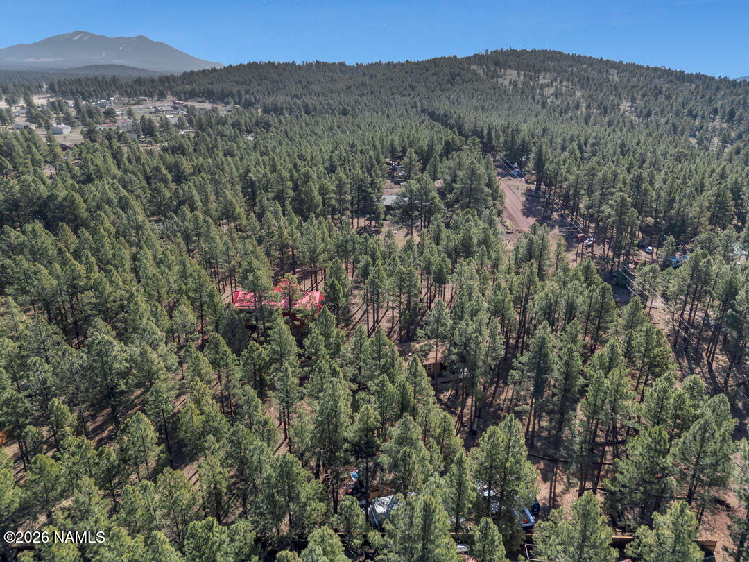 13167 Fallow Deer Road Parks, AZ 86018 - Photo 27 of 29 5-web-or-mls-TimberCreekImagery-5