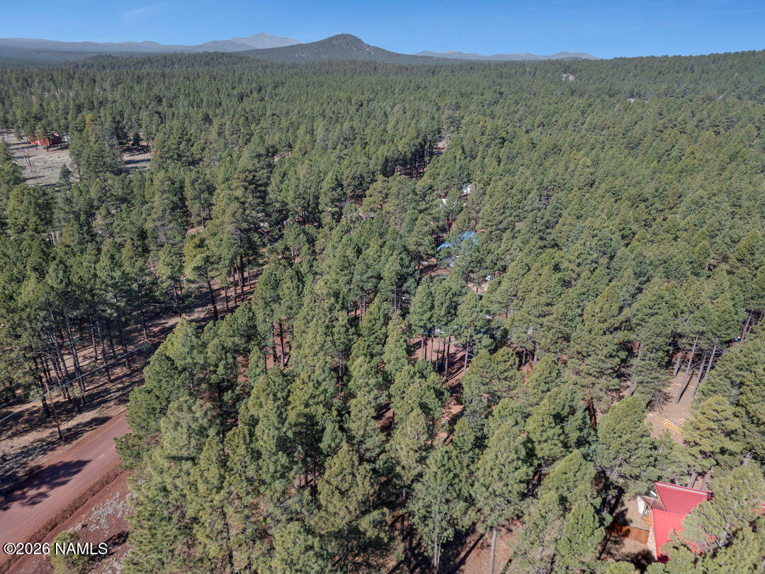 13167 Fallow Deer Road Parks, AZ 86018 - Photo 28 of 29 7-web-or-mls-TimberCreekImagery-7