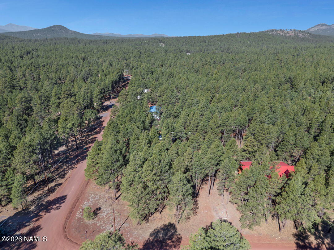 13167 Fallow Deer Road Parks, AZ 86018 - Photo 29 of 29 8-web-or-mls-TimberCreekImagery-8