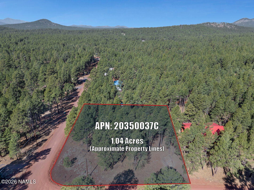 13167 Fallow Deer Road Parks, AZ 86018 - Photo 5 of 29 30-web-or-mls-++ TimberCreekImagery-8