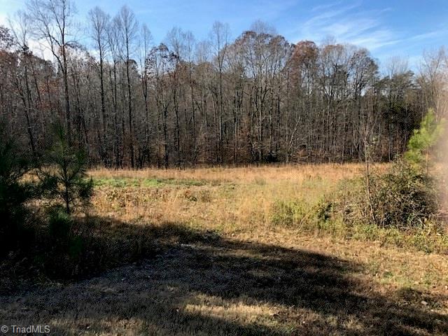 4711 Island Ford Road Randleman, NC 27317 - Photo 21 of 21 Gallery Image 21