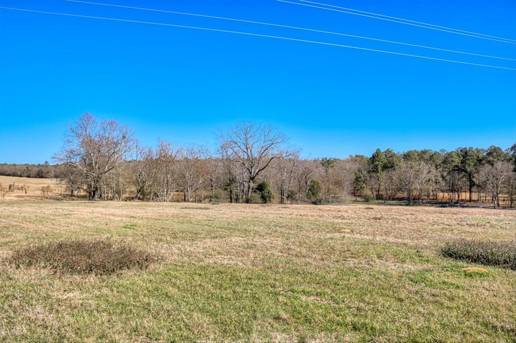 Lot 7 Wire Road Aiken, SC 29801 - Photo 8 of 13