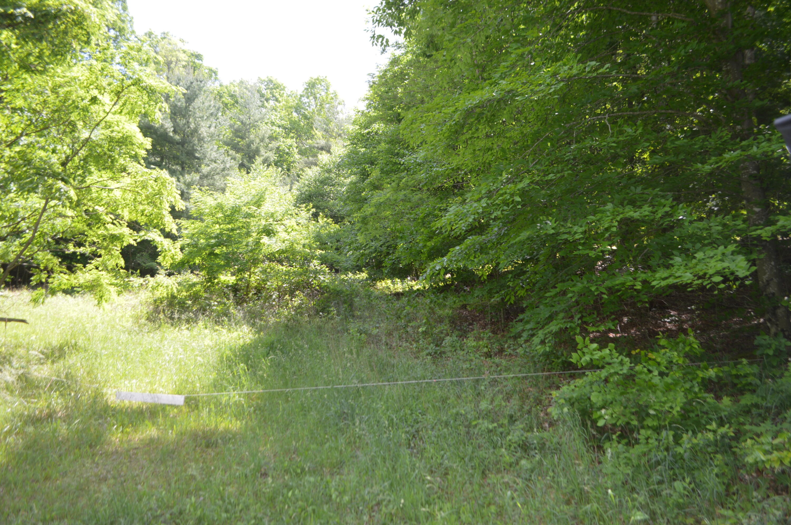 0 Little Mountain Road New Castle, VA 24127 - Photo 1 of 2 DSC_1551