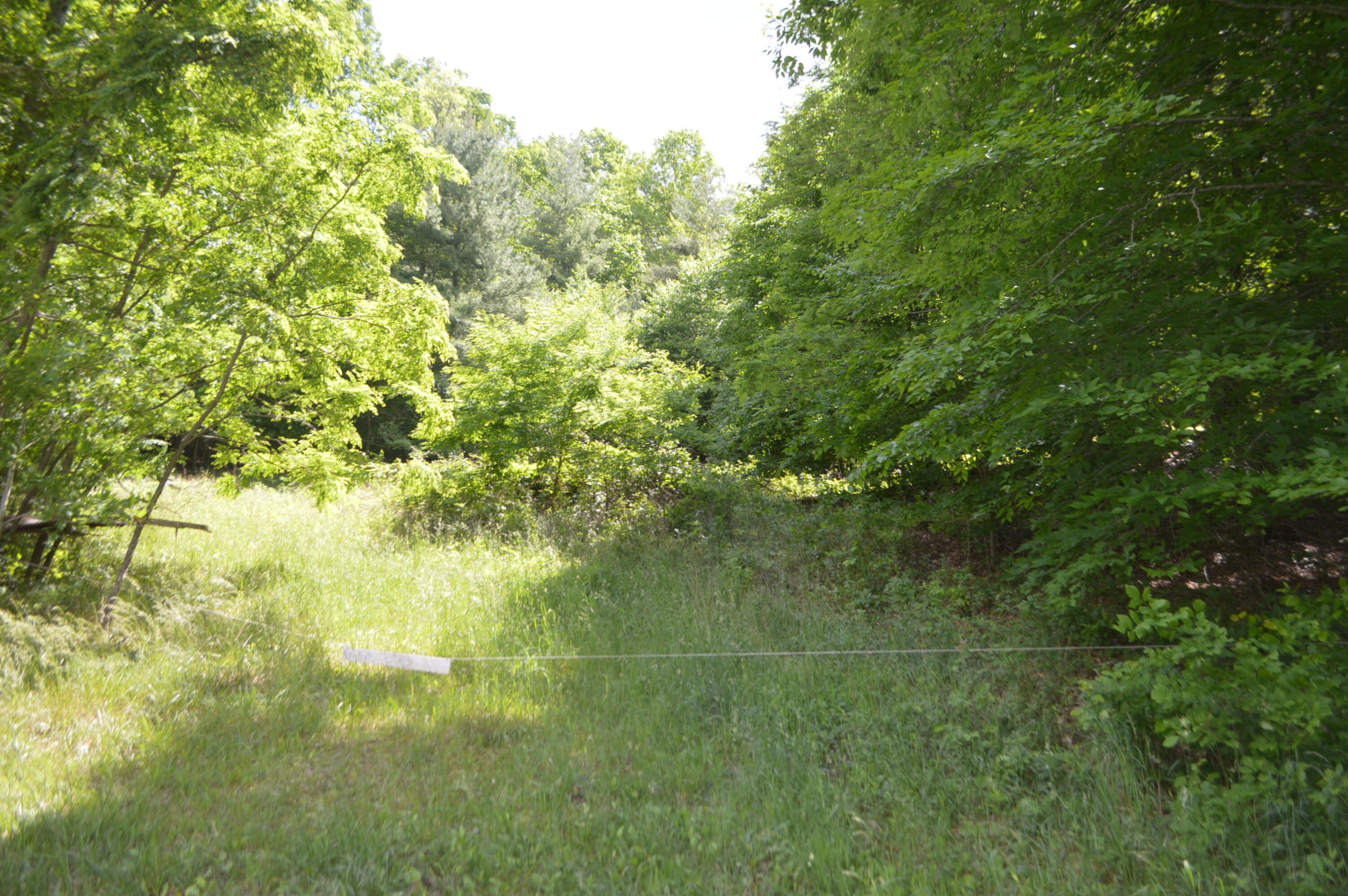 0 Little Mountain Road New Castle, VA 24127 - Photo 2 of 2 DSC_1550
