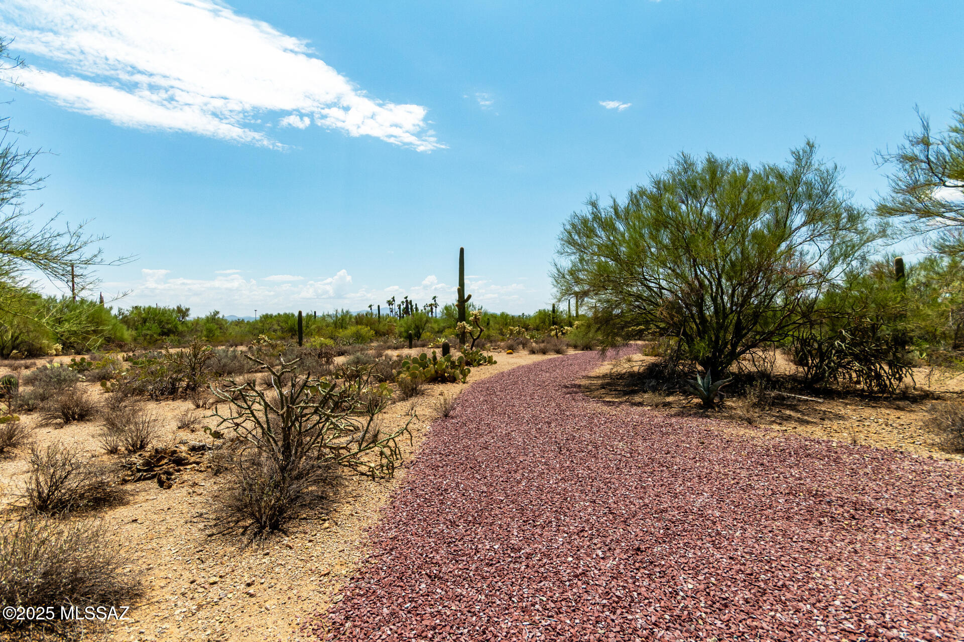2900 South Kinney Road, Unit 13 Tucson, AZ 85735 - Photo 3 of 12 Gallery Image 3