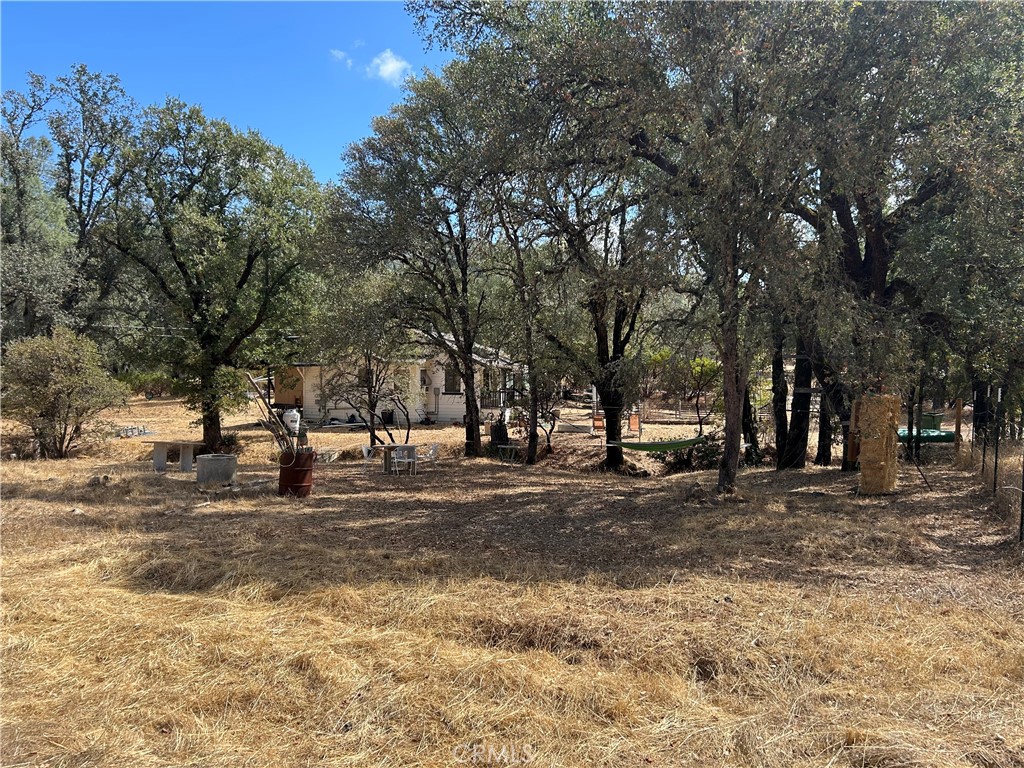 23800 W Road Middletown, CA 95461 - Photo 25 of 37 Open meadow