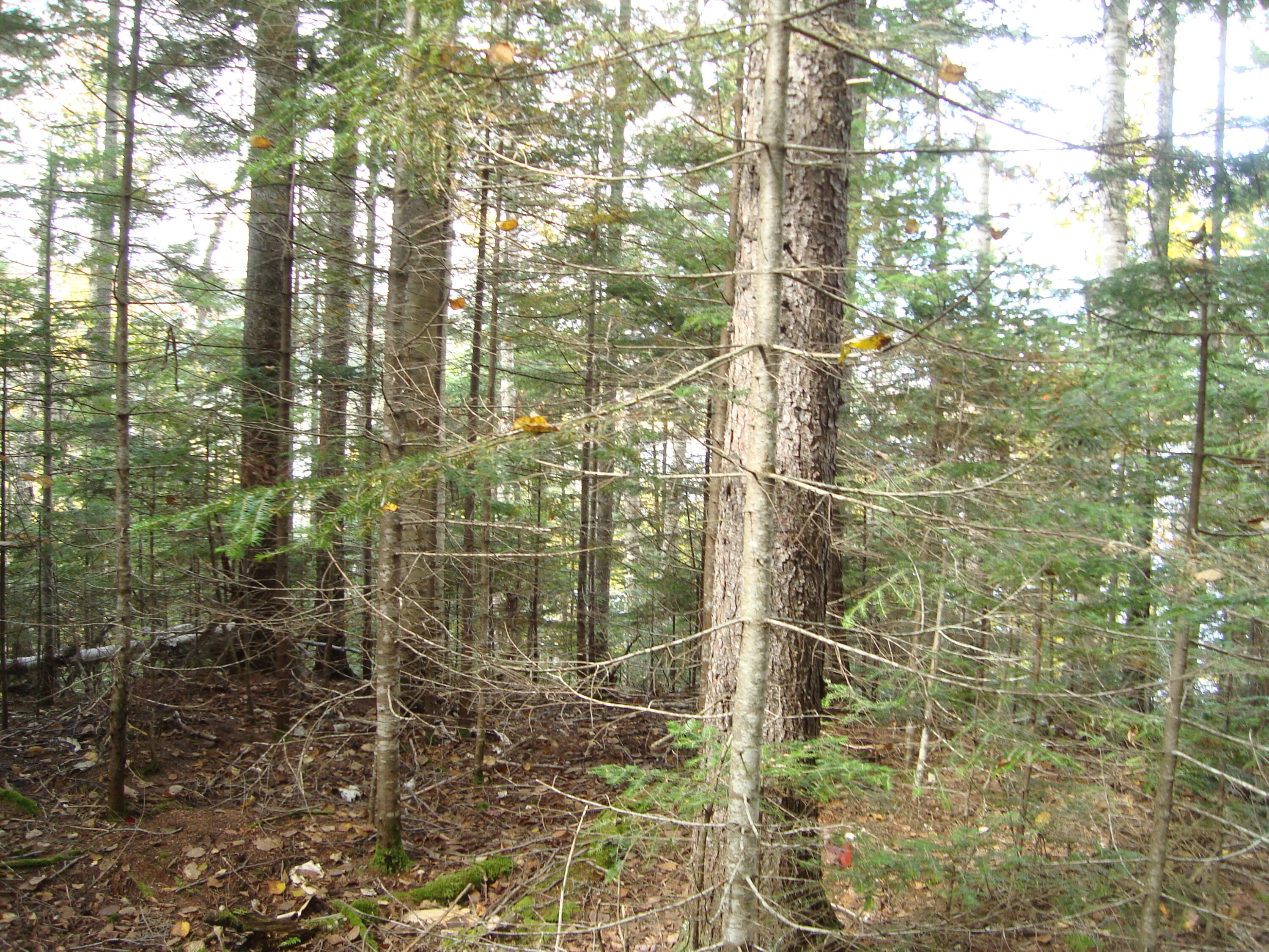 M2-l7 M2-l7 Parmachenee Road Oquossoc, ME 04964 - Photo 7 of 20 7_Parmachenee_SS