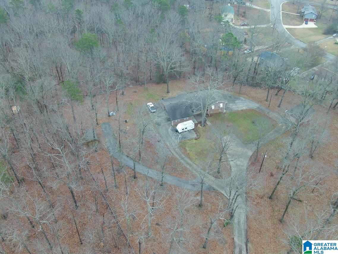 6669 Davison Road Pinson, AL 35126 - Photo 2 of 35