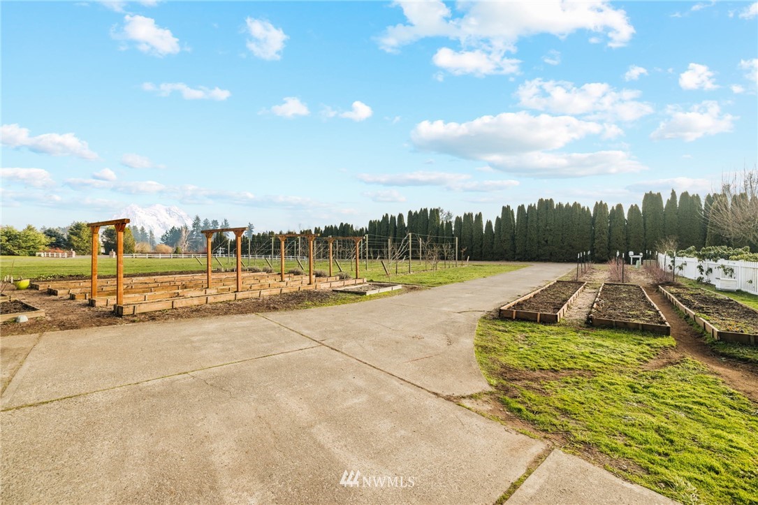 30717 Webster Road East Eatonville, WA 98328 - Photo 33 of 37 Gallery Image 33