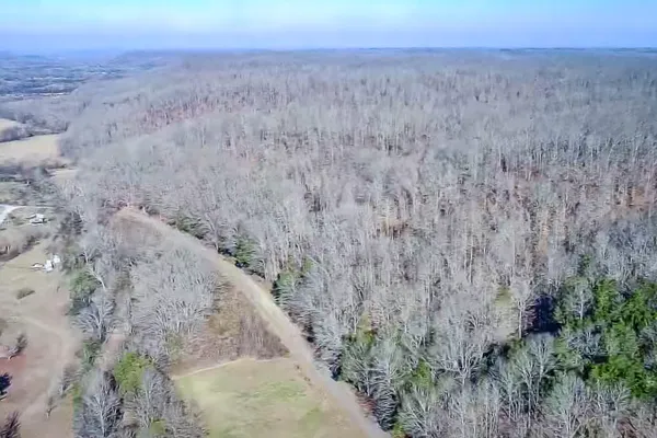 a view of a dry yard with trees