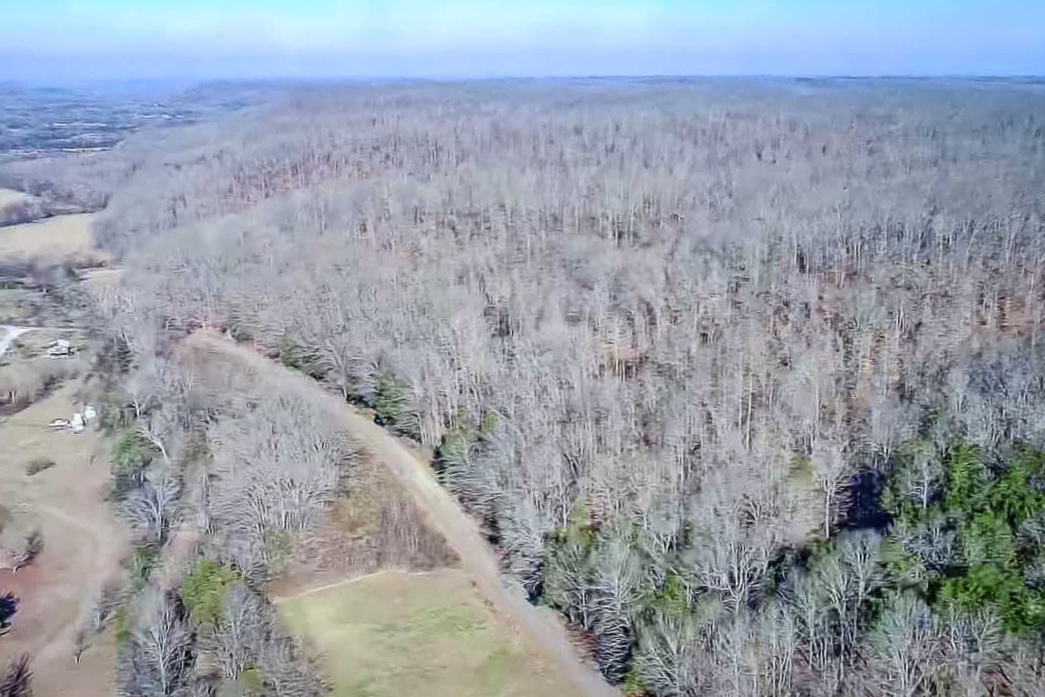 0 Mayberry Prong Road Linden, TN 37096 - Photo 1 of 16 a view of a dry yard with trees