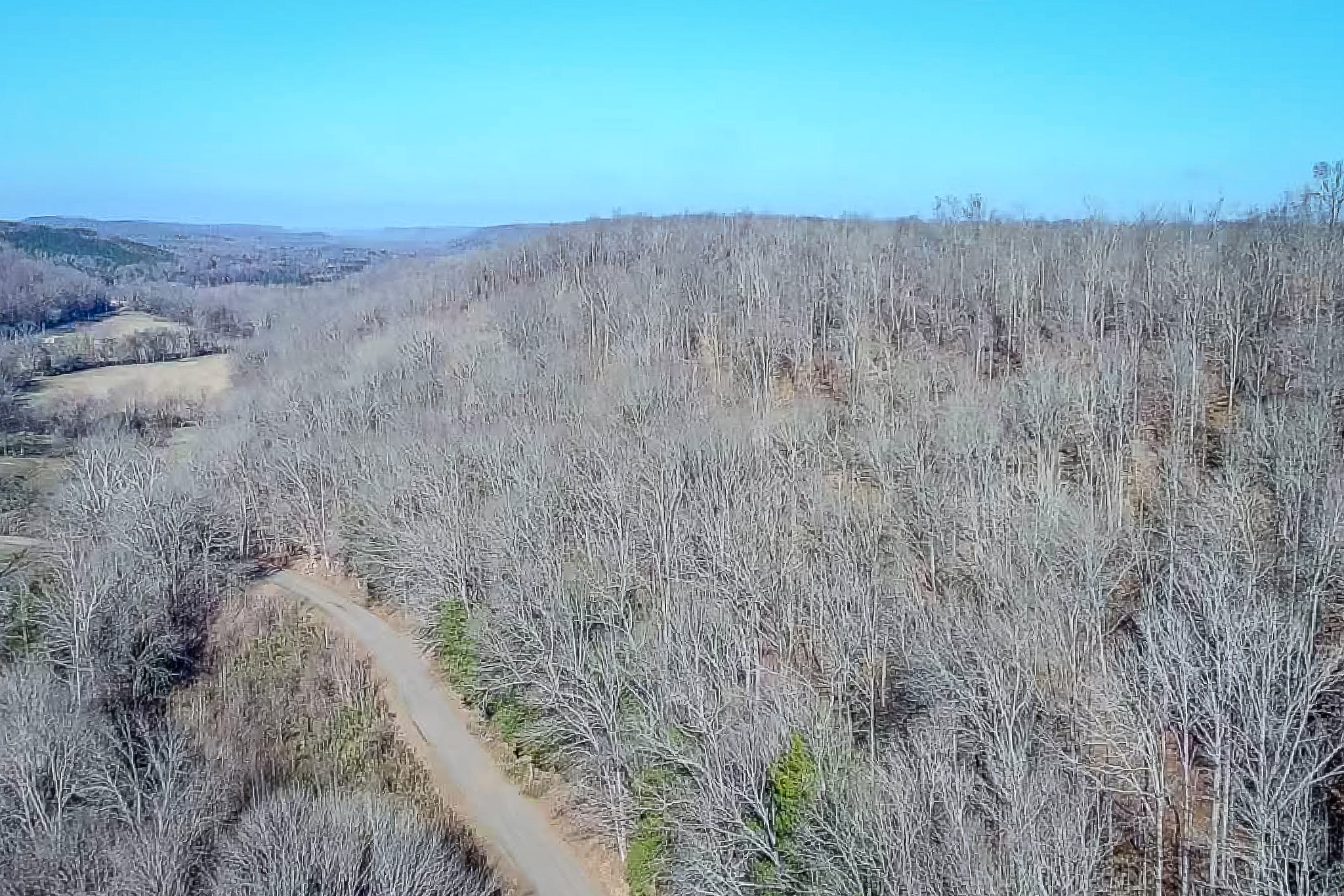 0 Mayberry Prong Road Linden, TN 37096 - Photo 2 of 16 a view of a dry field with trees in background