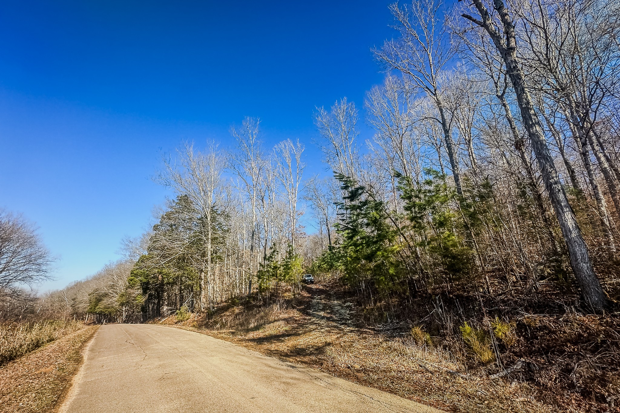 0 Mayberry Prong Road Linden, TN 37096 - Photo 3 of 16 a view of a yard with trees and bushes