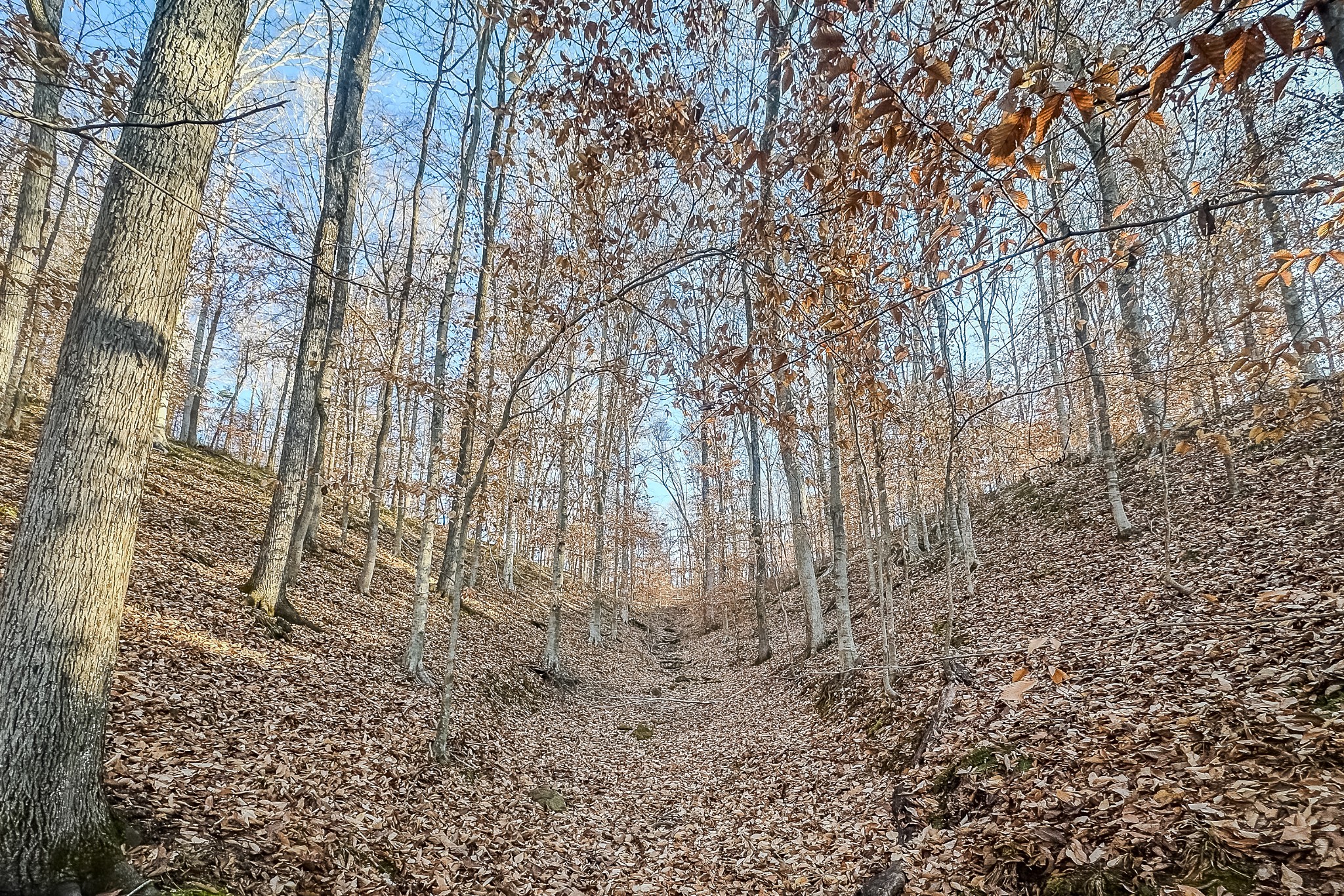 0 Mayberry Prong Road Linden, TN 37096 - Photo 5 of 16